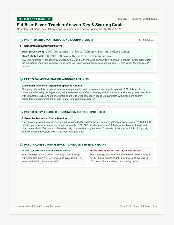 Fat Bear Fever Answer Key