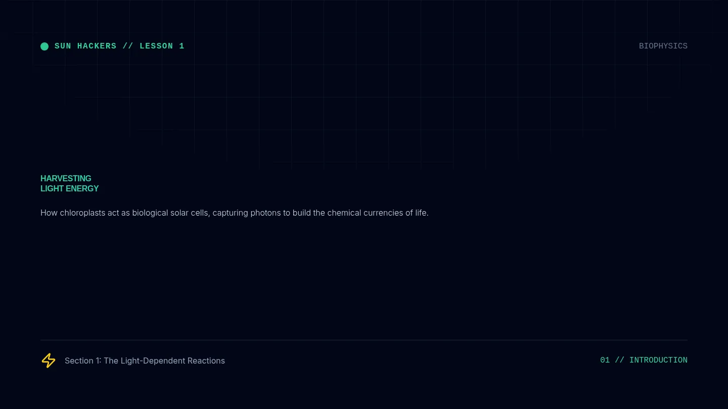 Photon Harvest Slides