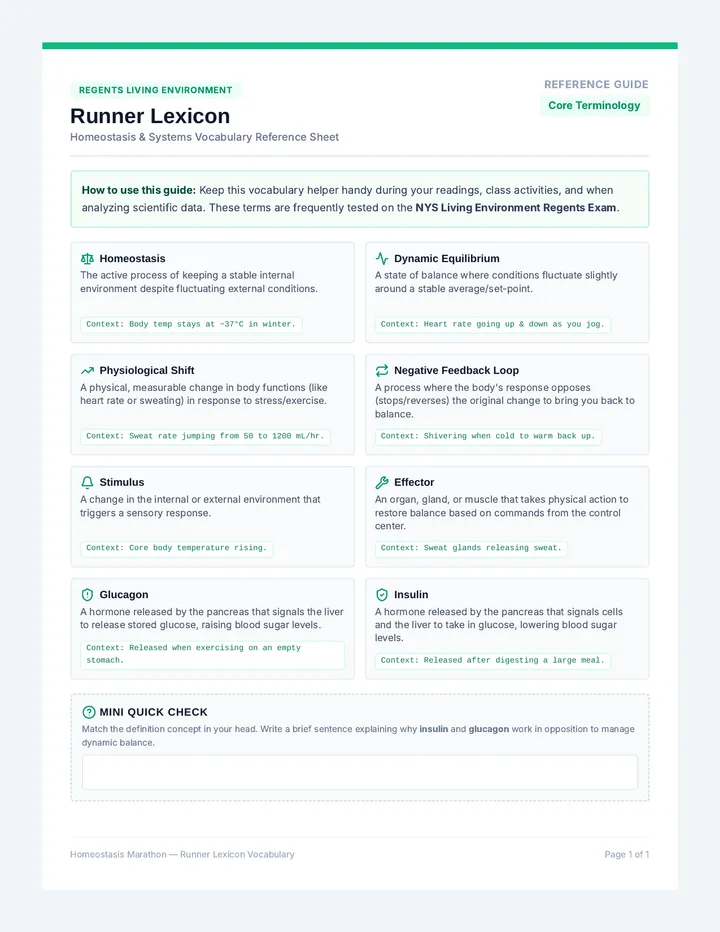 Runner Lexicon Handout