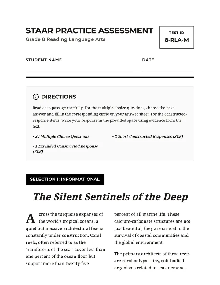 STAAR Practice Reading Assessment