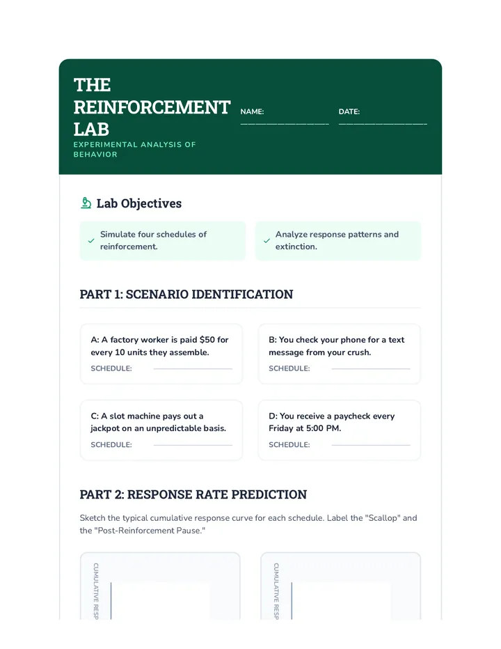 Reinforcement Lab Worksheet