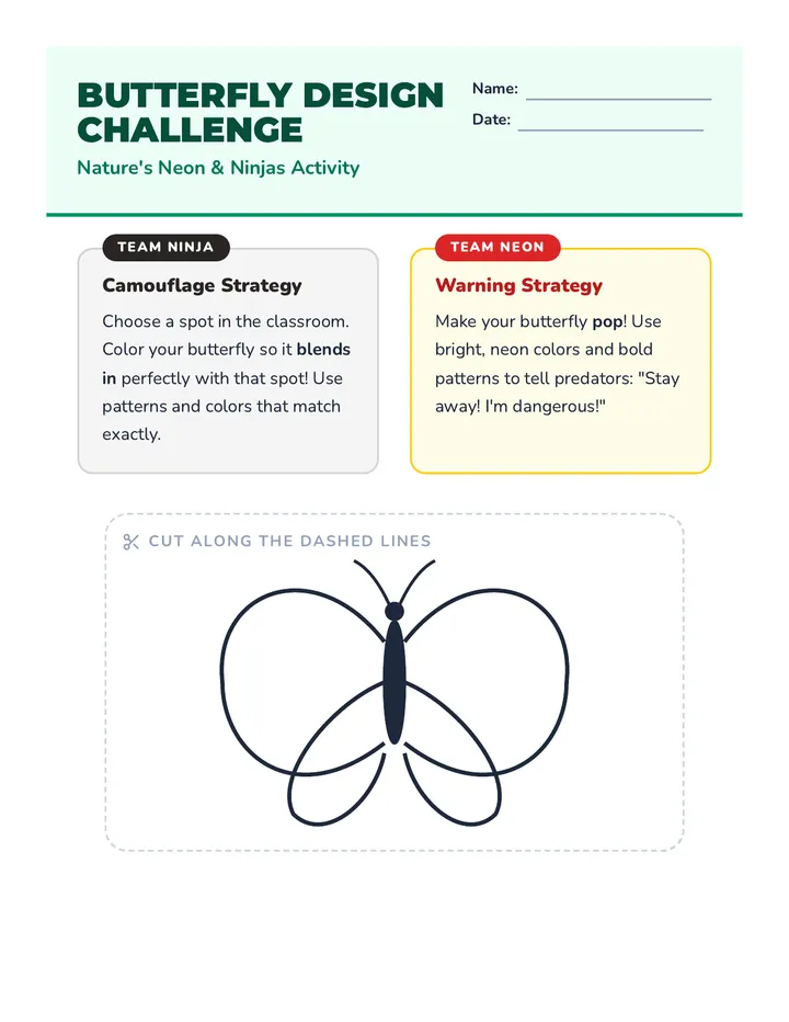 Butterfly Design Challenge Worksheet