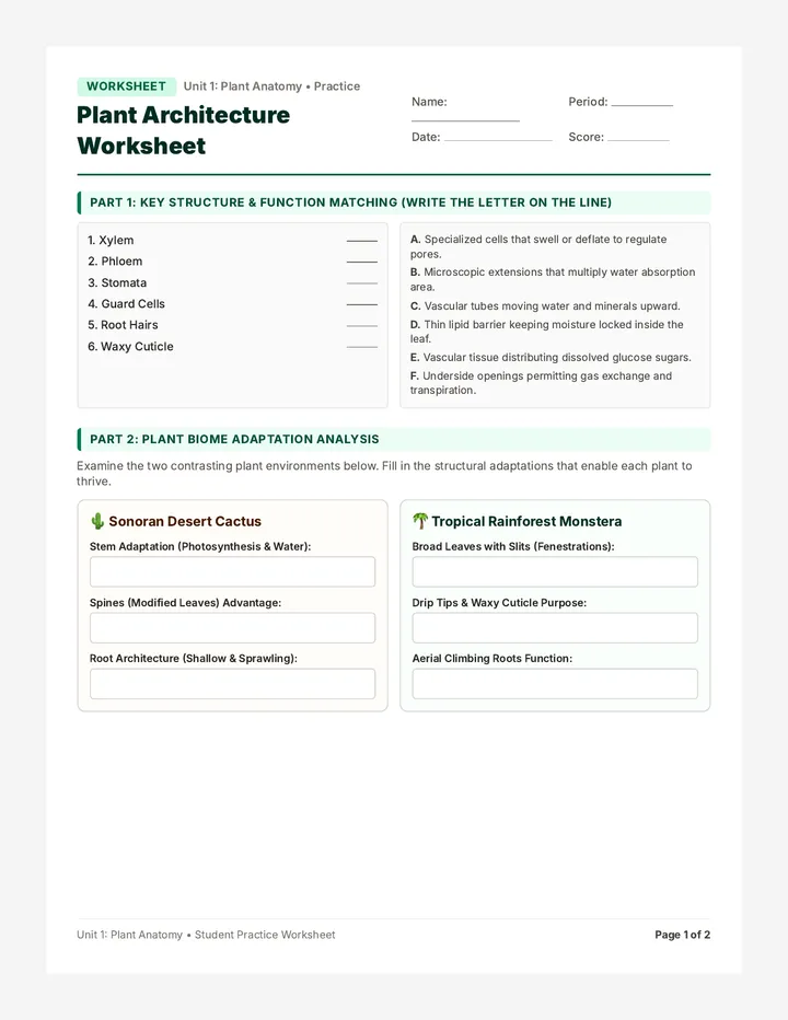 Plant Architecture Worksheet