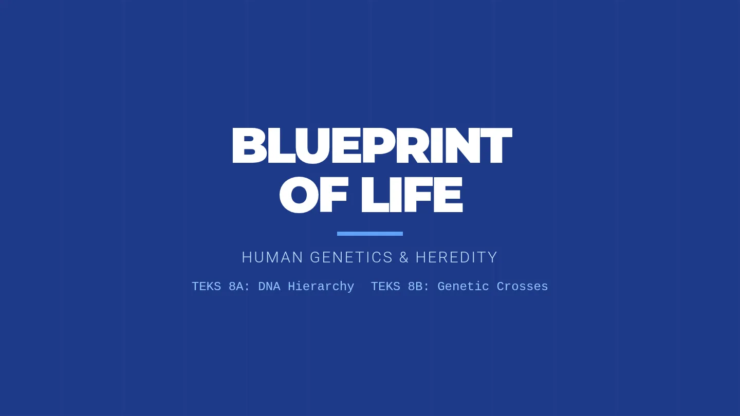 Blueprint Presentation Slides
