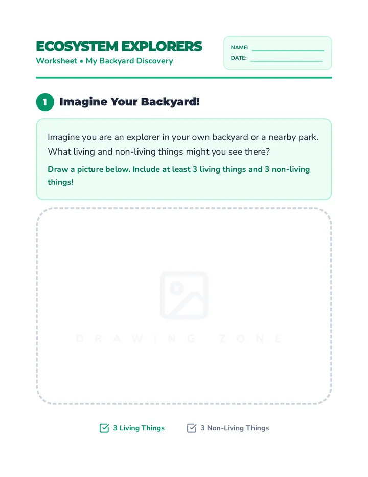 Ecosystem Explorers Worksheet