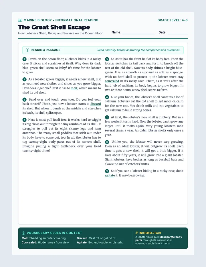 Lobster Molting Reading Worksheet
