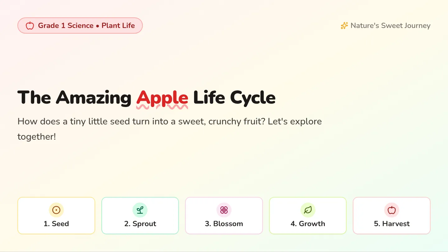 Apple Life Cycle Slides