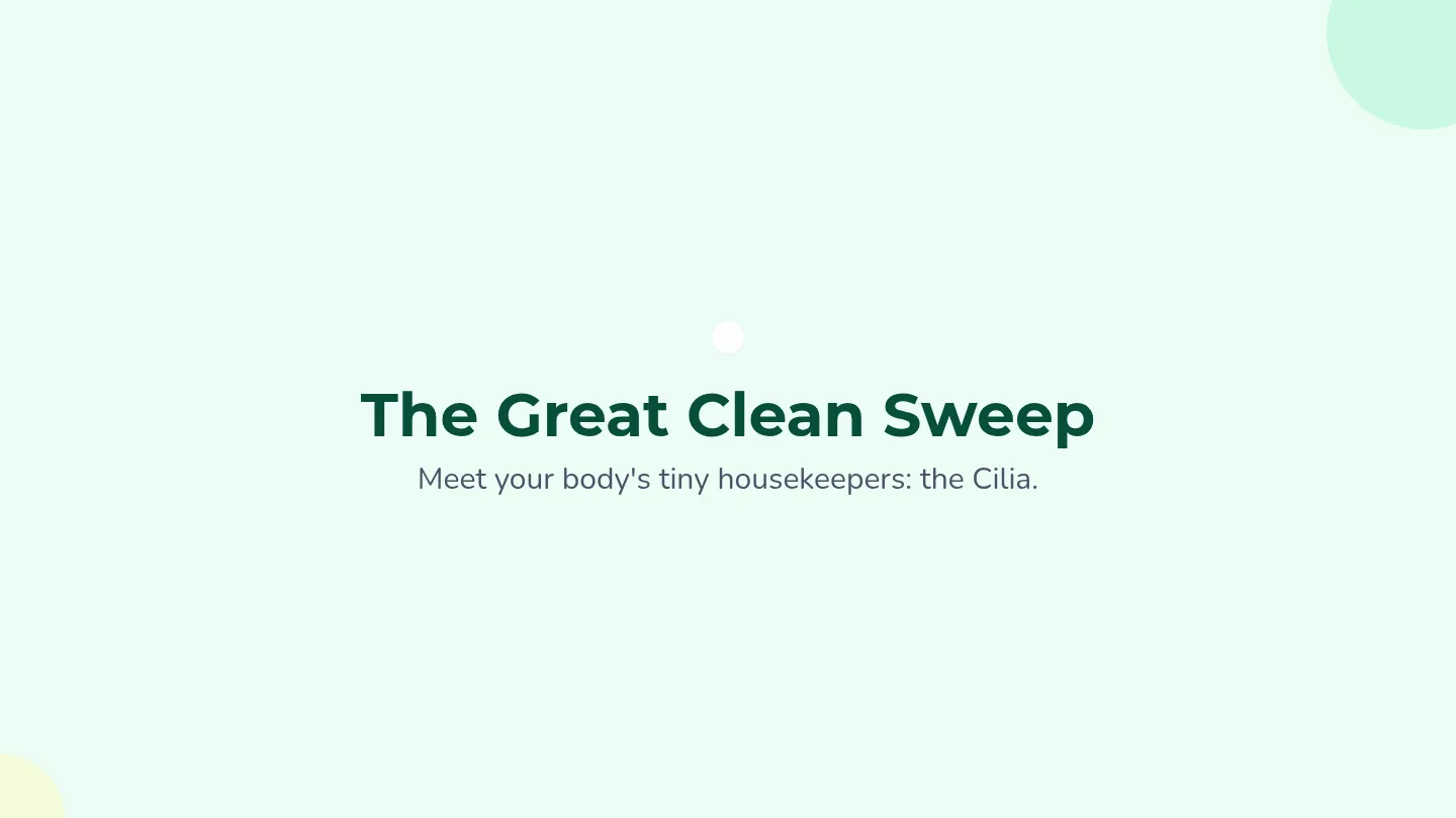 Cilia Sweep Slides