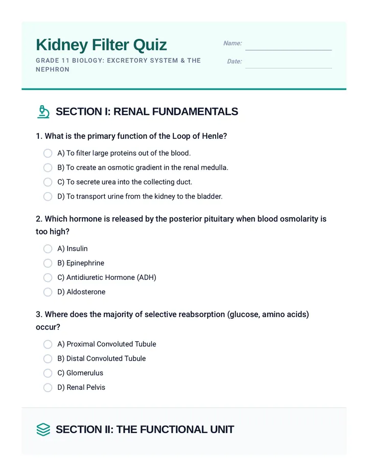 Kidney Filter Quiz