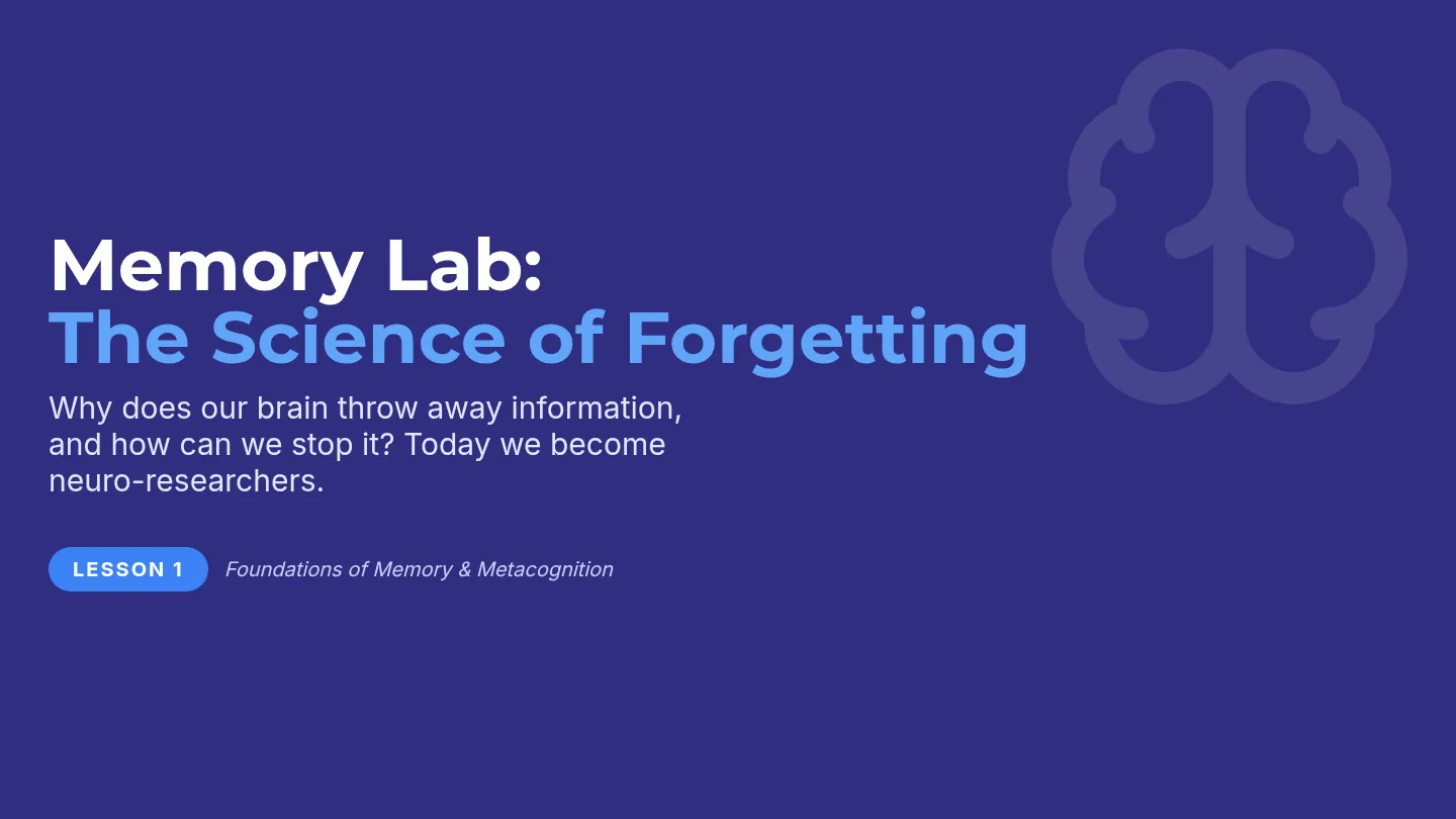 Memory Decay Slides