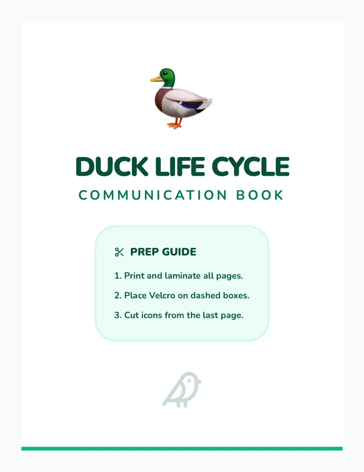 Duck Life Cycle Adaptive Book