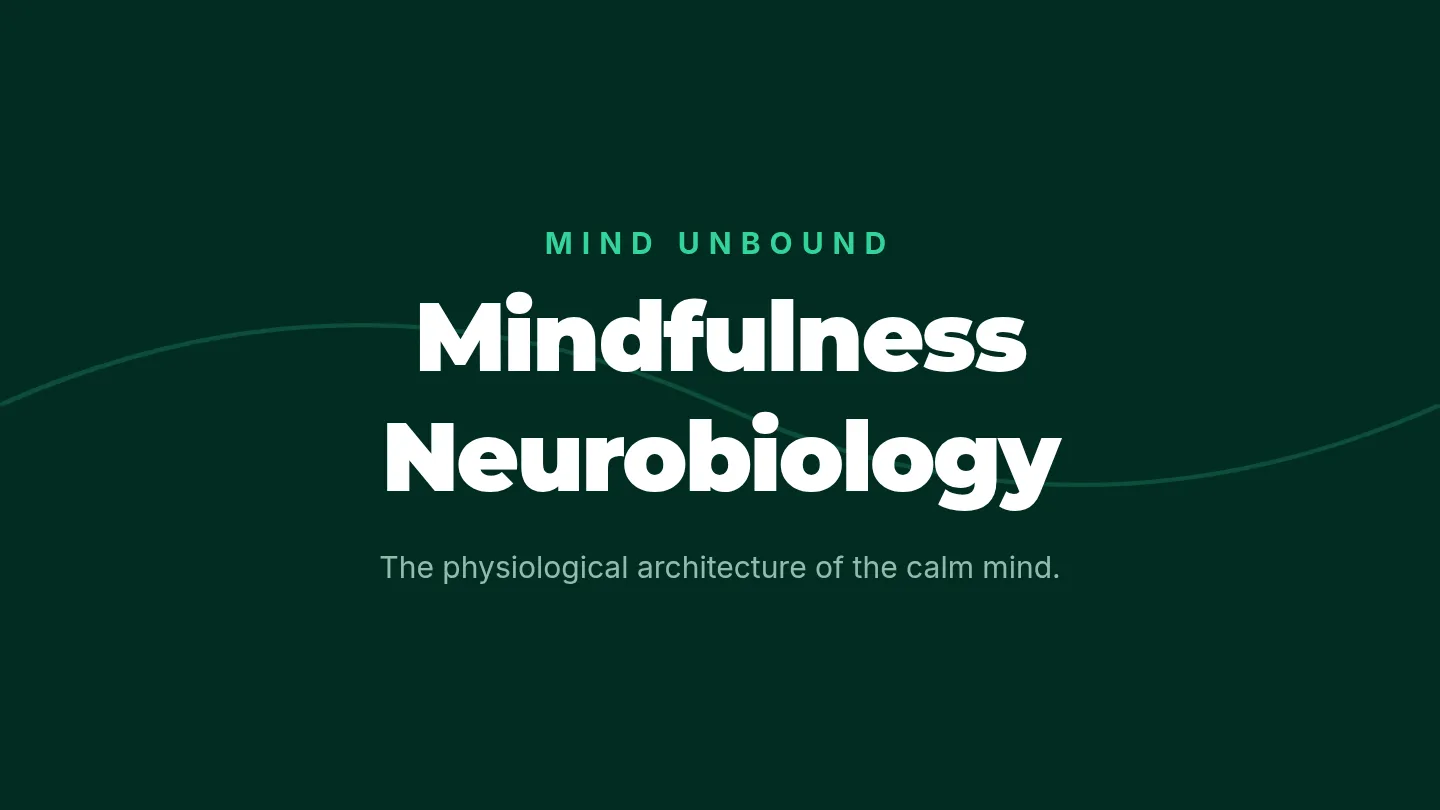 Mindfulness Neurobiology Slides
