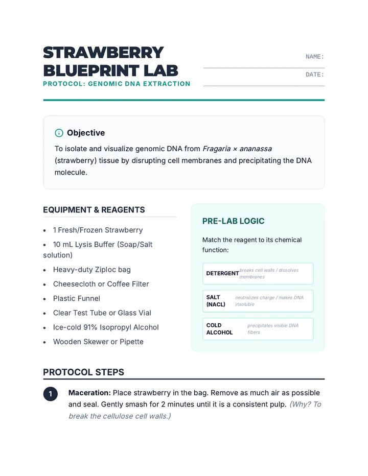 Strawberry Blueprint Lab