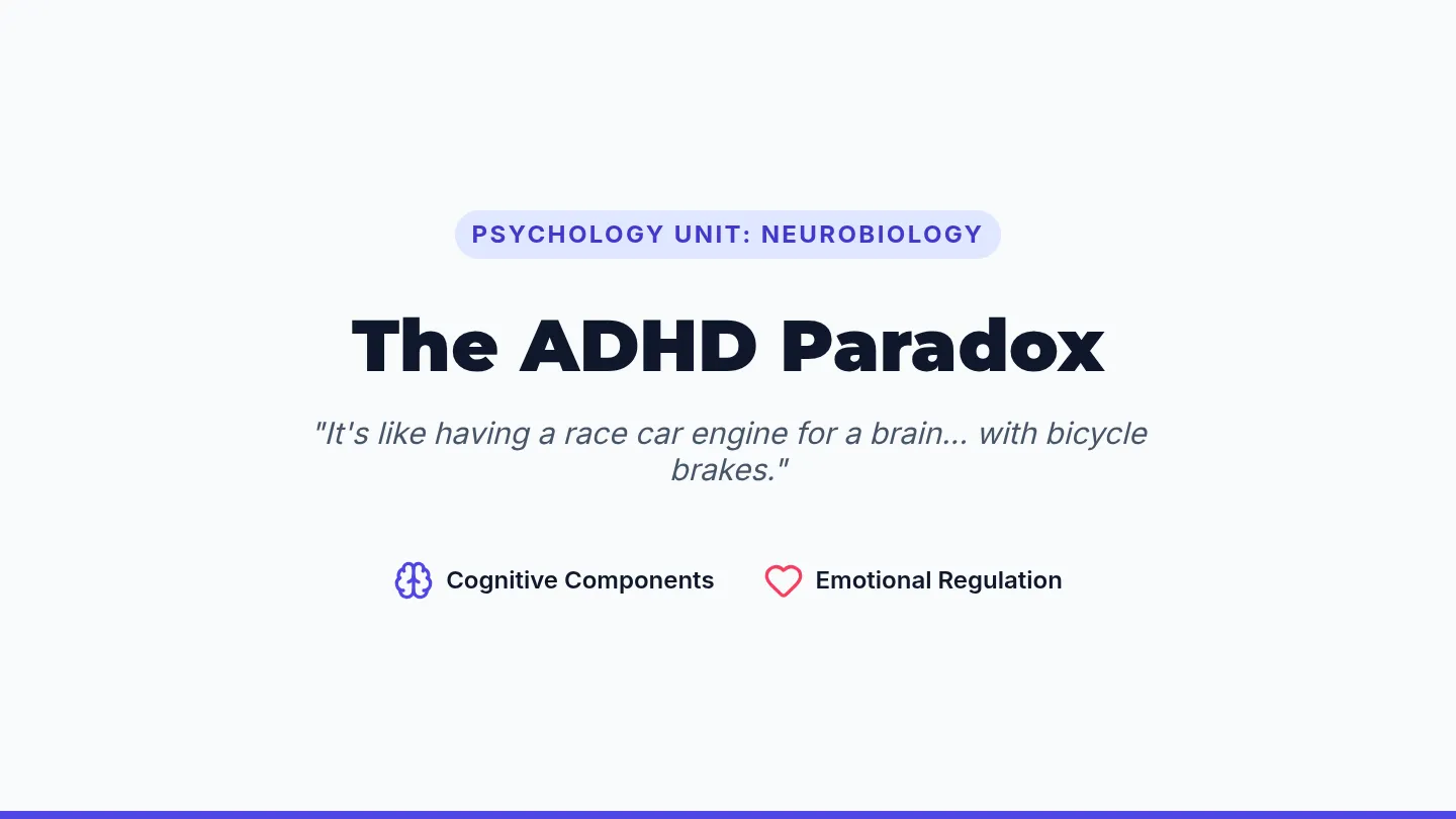 ADHD Paradox Slides