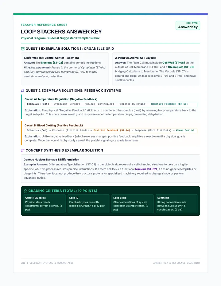 Loop Stackers Answer Key
