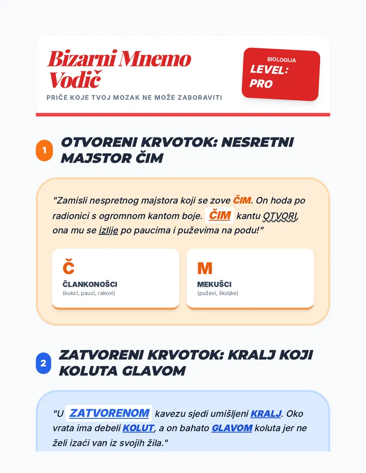 Bizarni Mnemo Vodič Final