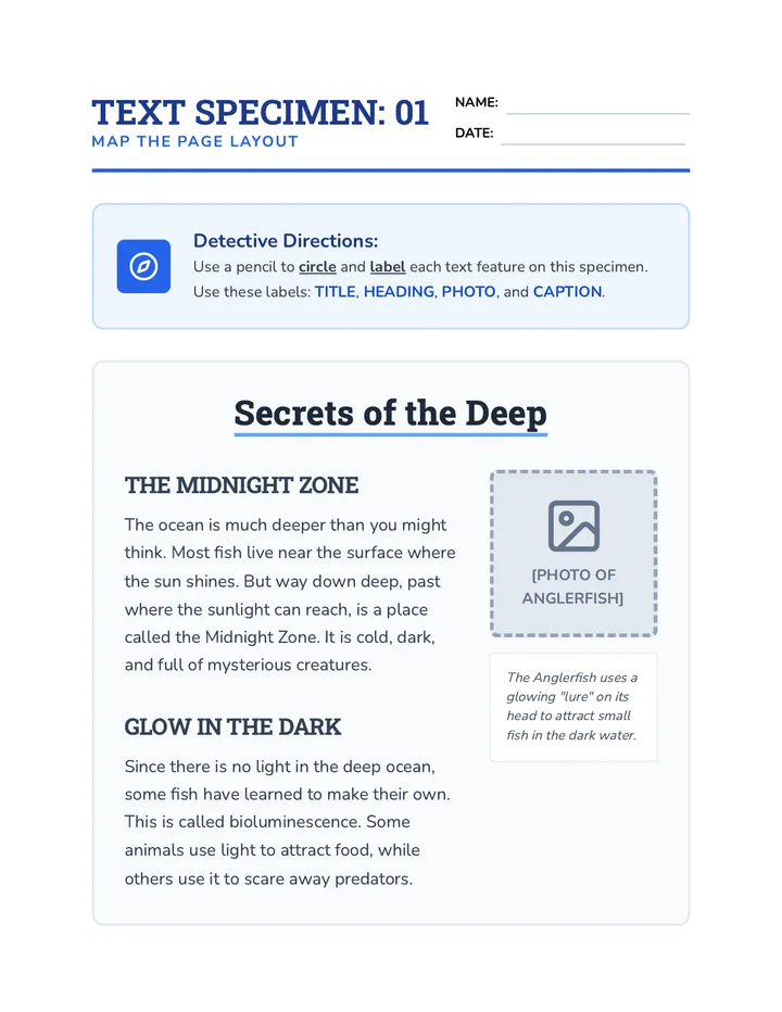 Map the Text Worksheet