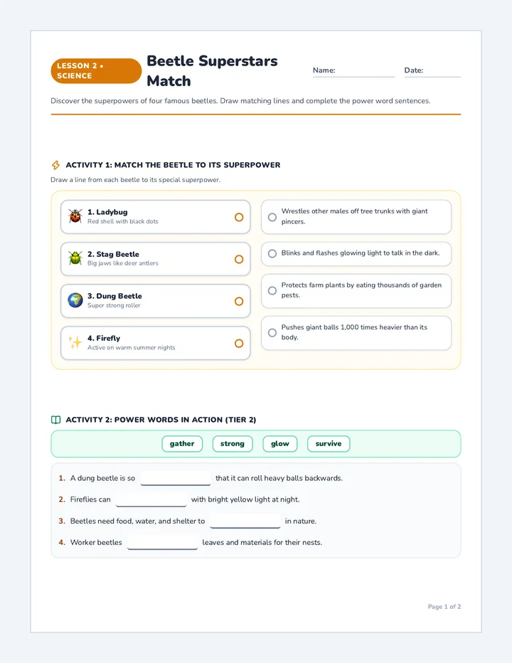 Beetle Match Worksheet