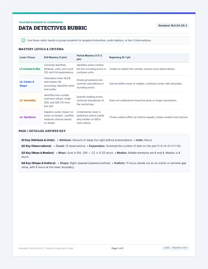 Data Detectives Rubric