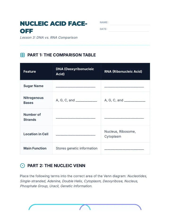 Nucleic Acid Face Off Worksheet