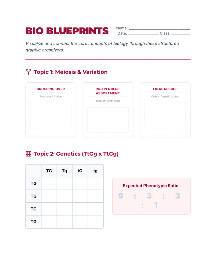 Bio Blueprints Organizers