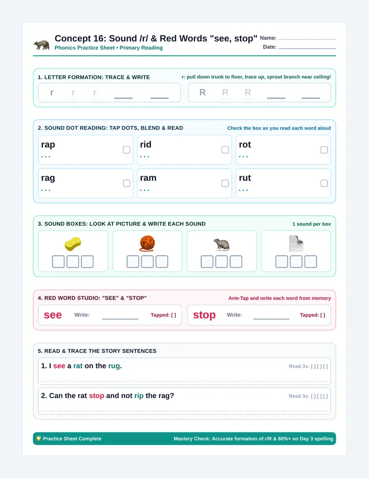 Raccoon Practice Worksheet