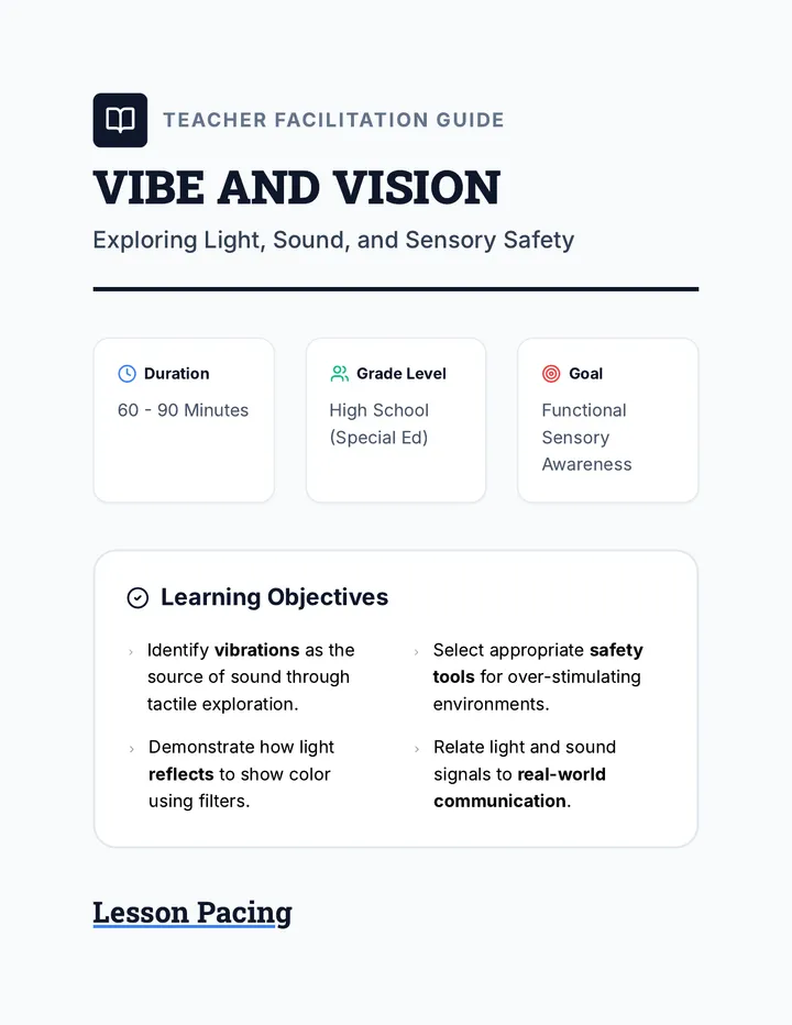 Vibe and Vision Teacher Guide