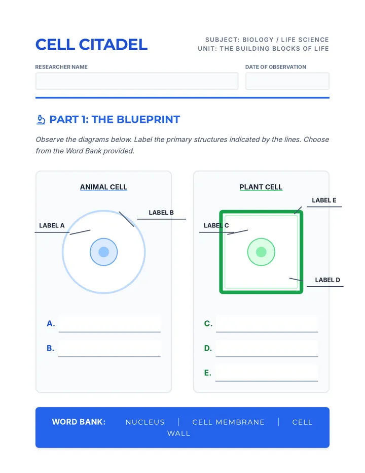 Cell Citadel Worksheet