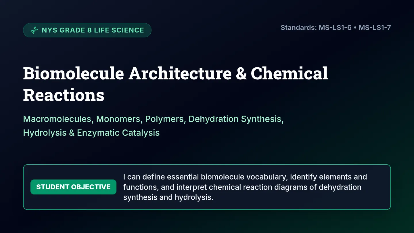 Biomolecule Architecture Slides
