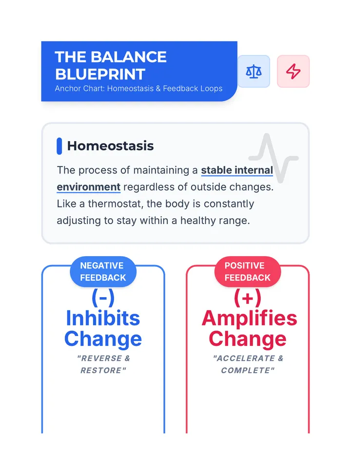 Balance Blueprint Anchor Chart