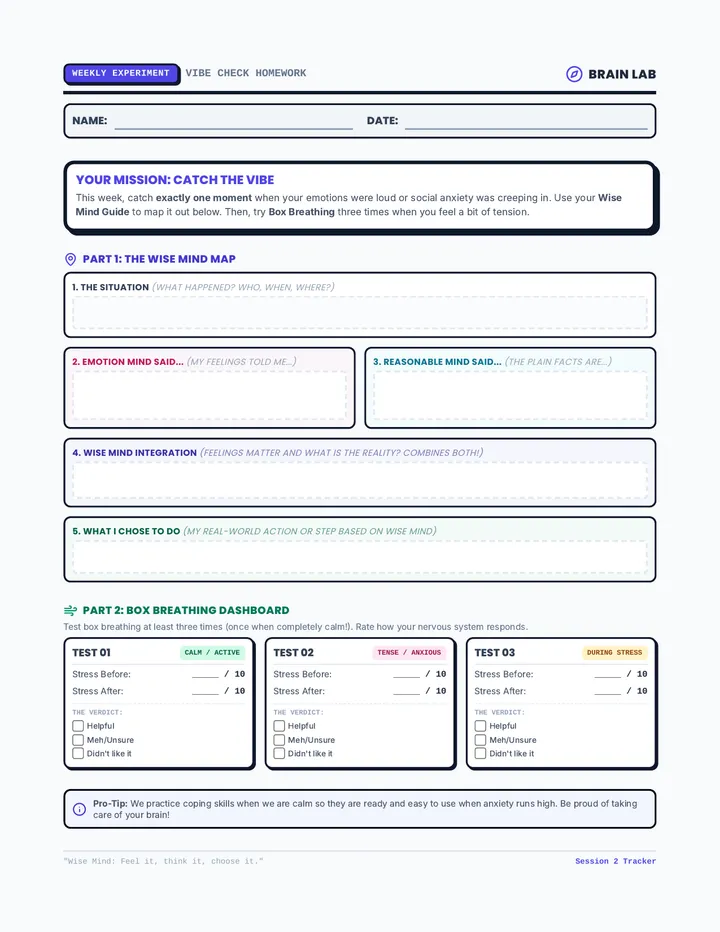Wise Mind Experiment Worksheet