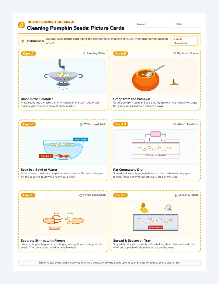 Pumpkin Seed Sequence Cards