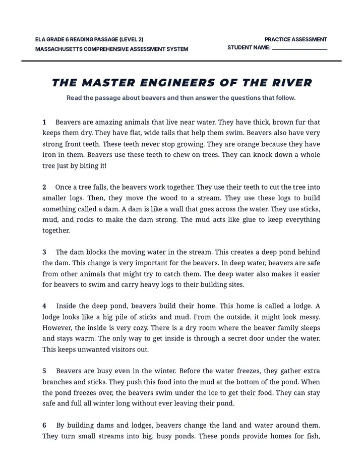 Beaver Builders Level 2 Worksheet
