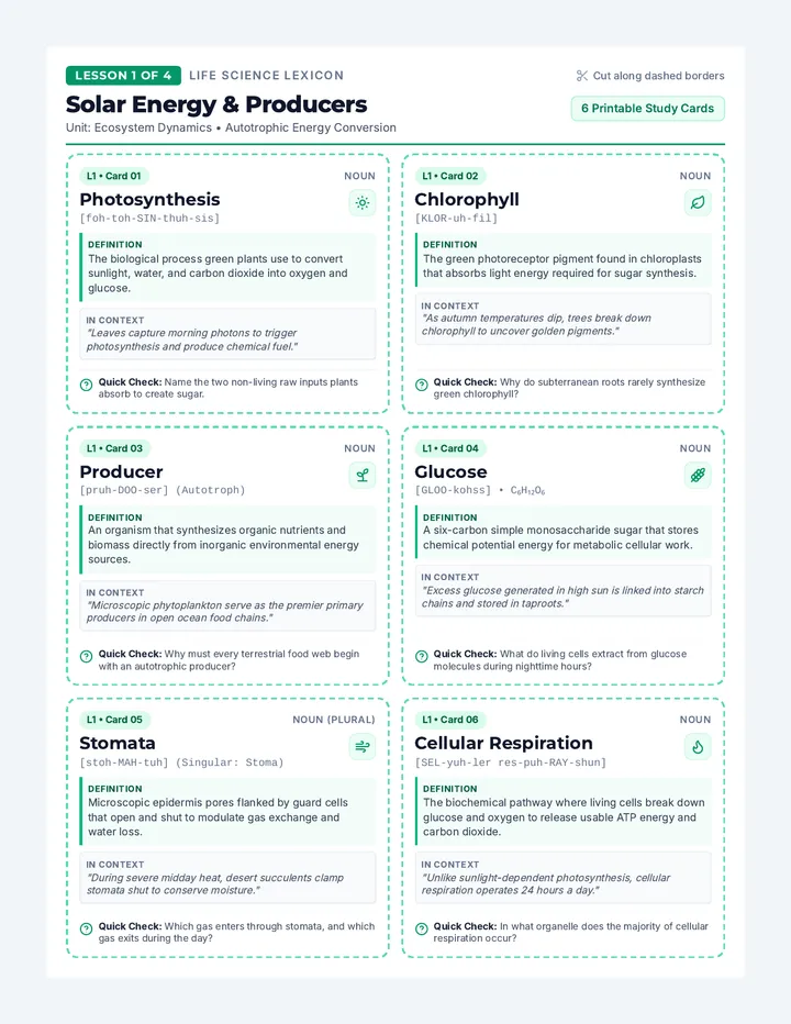 Curriculum Lexicon Cards