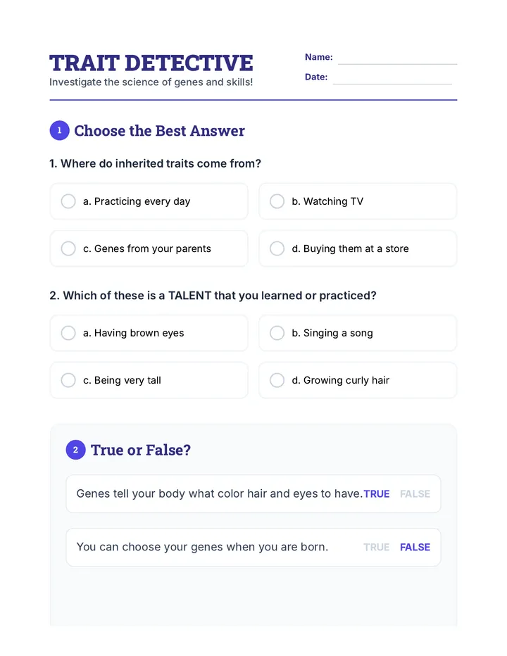 Trait Detective Worksheet