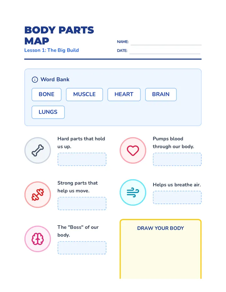 Body Parts Worksheet