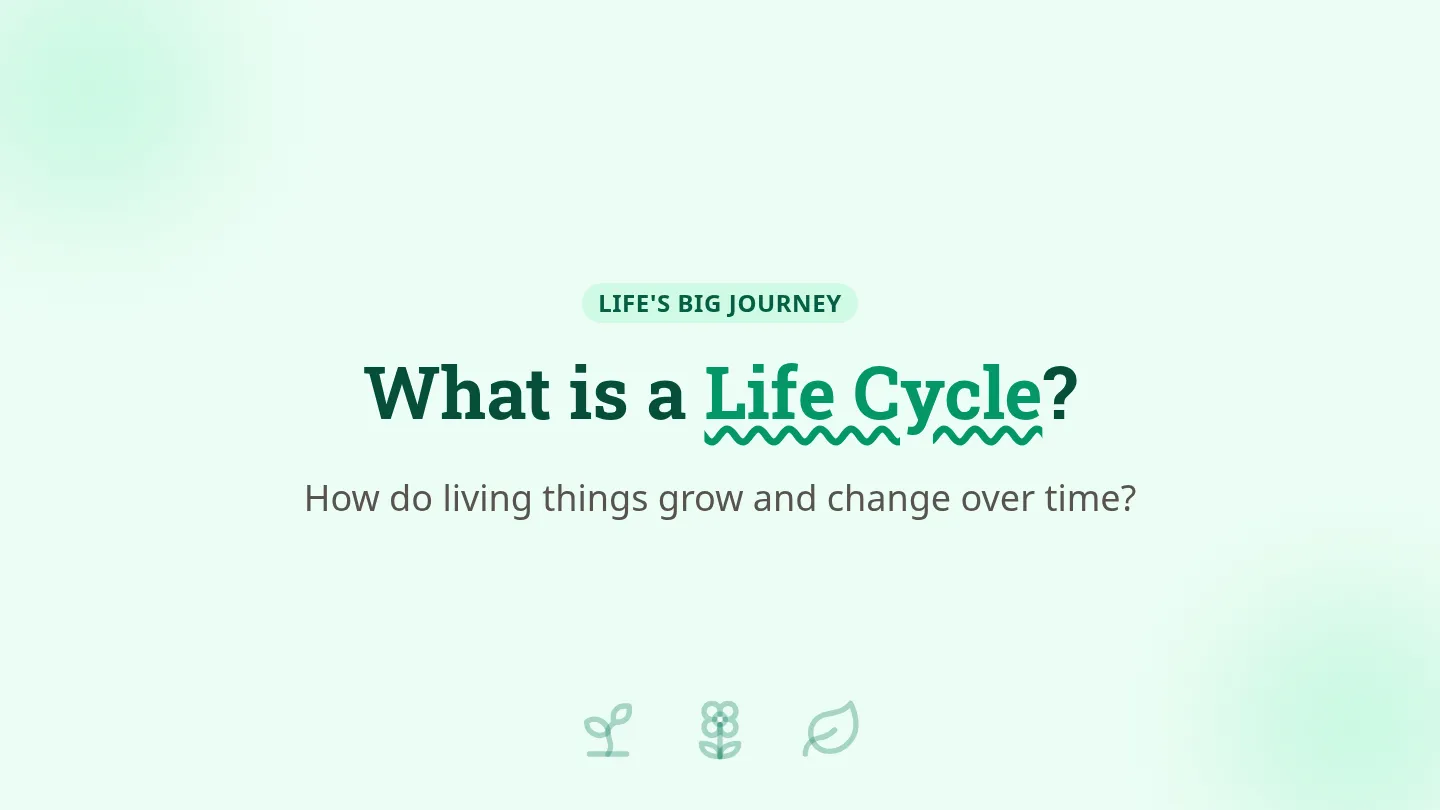 Life's Big Journey Slide Deck