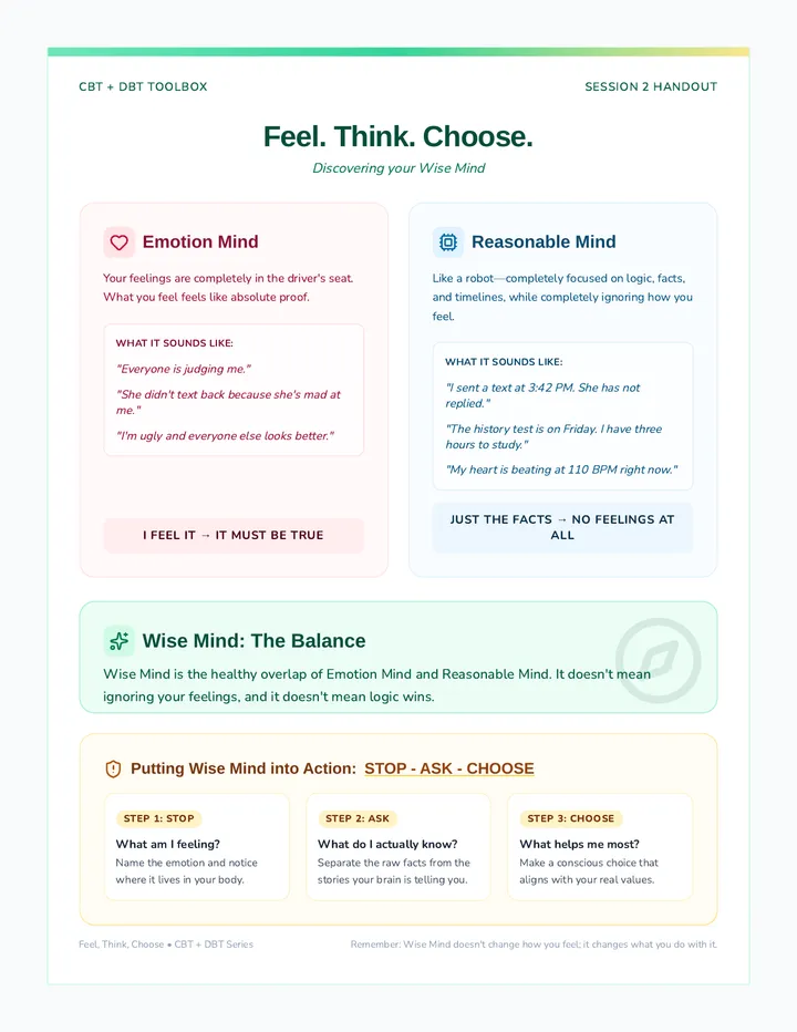 Wise Mind Map Handout