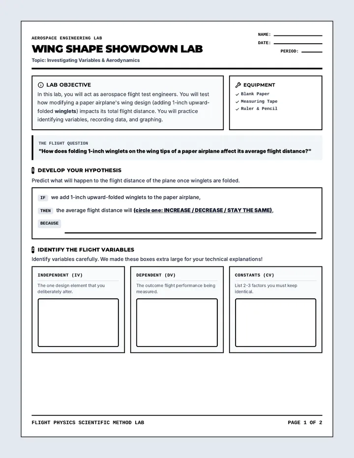 Wing Shape Showdown Worksheet
