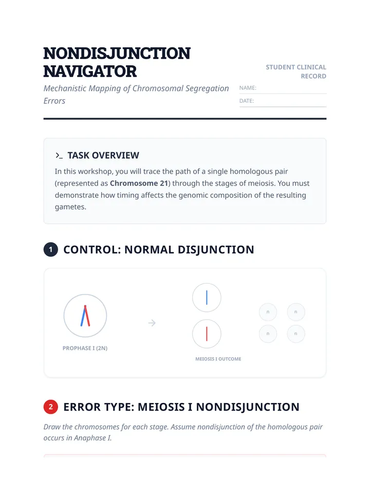 Nondisjunction Navigator Worksheet