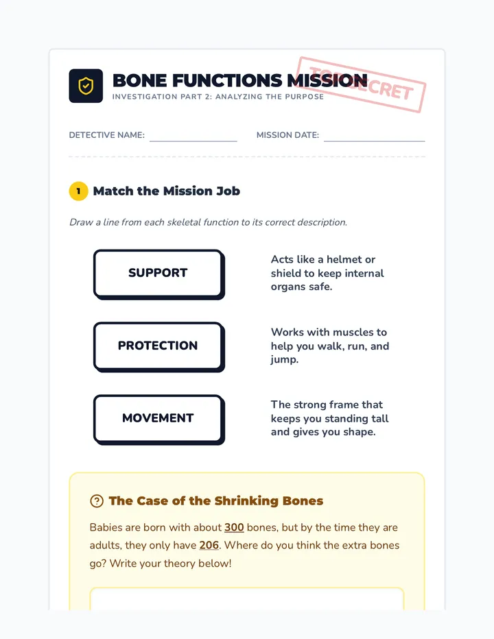 Bone Functions Mission Worksheet
