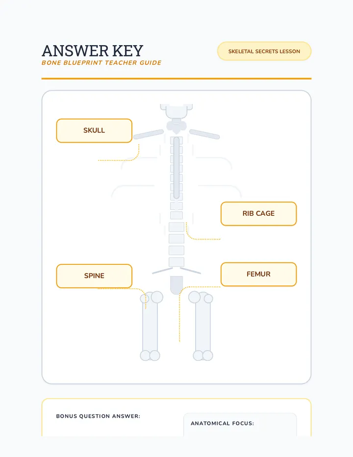 Bone Blueprint Answer Key