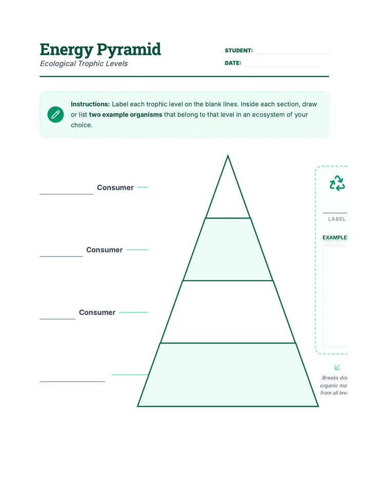 Energy Pyramid Diagram • Material • Lenny.com