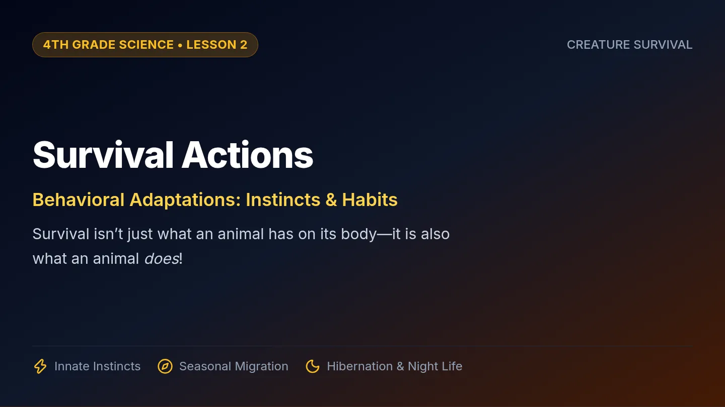 Survival Actions Slides