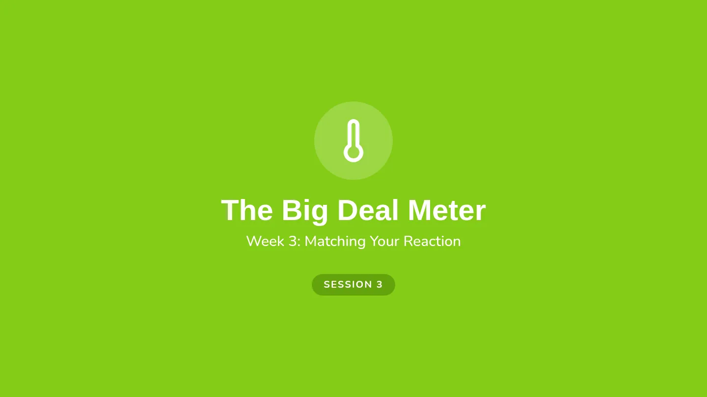 Problem Meter Slides