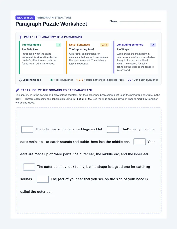 Paragraph Puzzle Worksheet