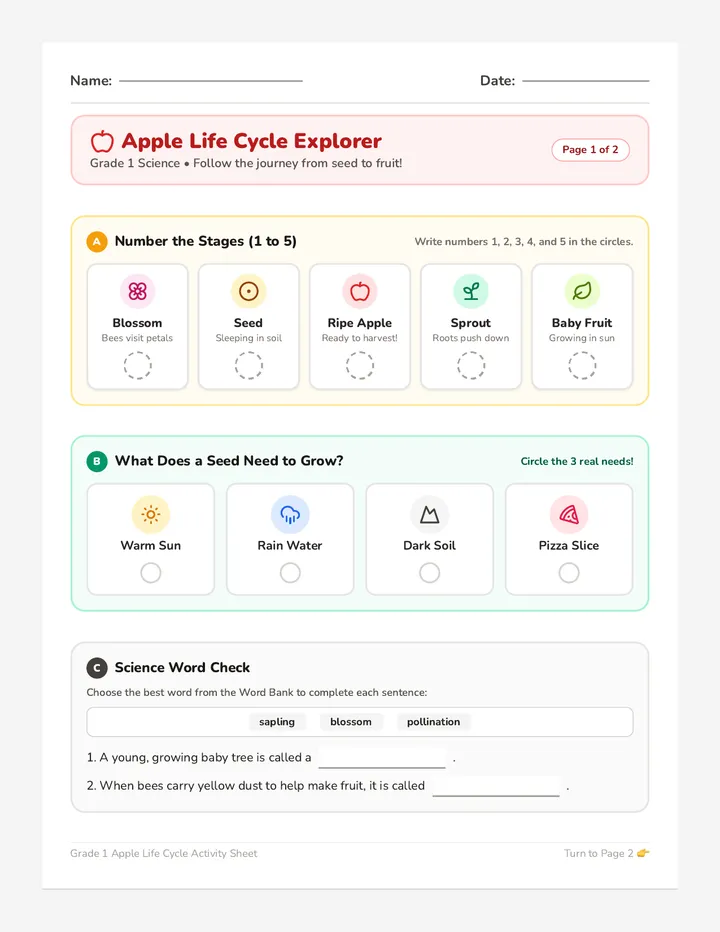 Apple Life Cycle Worksheet