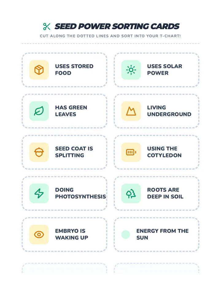 Seed Power Sorting Cards