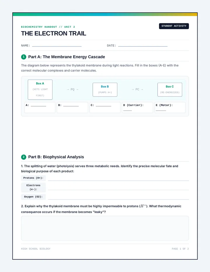 Electron Trail Worksheet