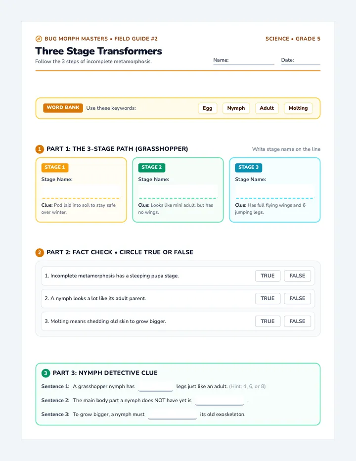 Three Stages Worksheet